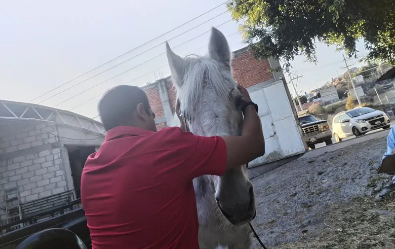 Foto: Especial