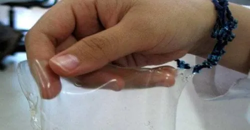 Reconocen a estudiantes mexicanos por desarrollo de bolsa biodegradable