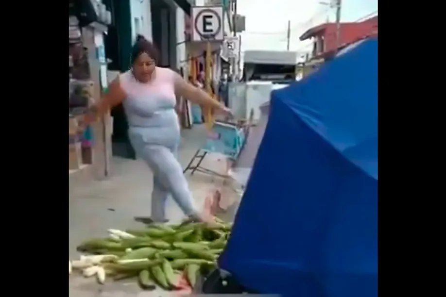 Ladyelotes Misantla
