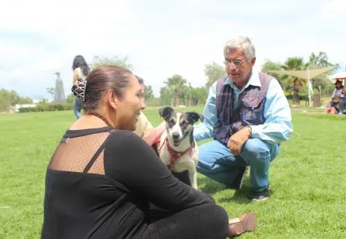 Ayuntamiento de Puebla ofrece nuevos servicios funerarios para mascotas