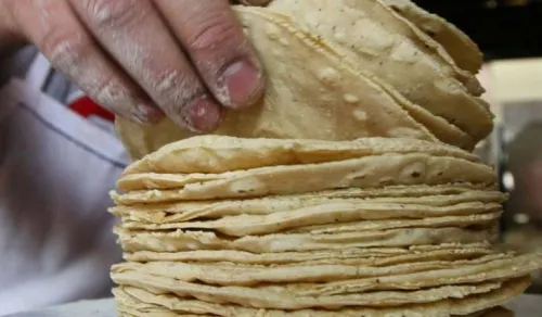 Precio de la tortilla podría aumentar a $60 si se aprueba ley contra maíz híbrido