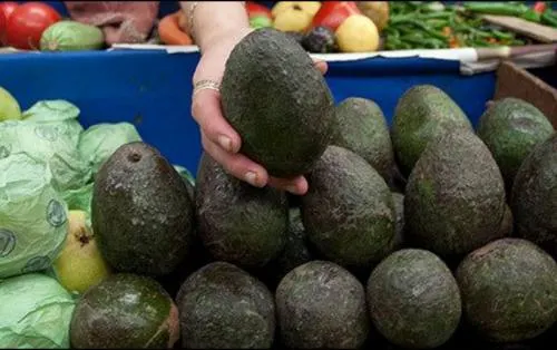El aguacate alcanza 50.19 pesos por kilo en mercados del país