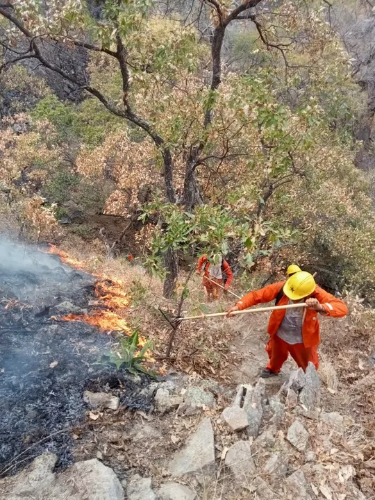 Incendio Uruapan