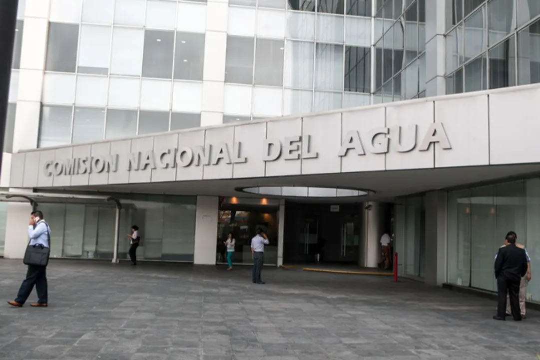 Foto: El Economista
