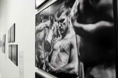 Llega la exposición World Press Photo 2019 a la Galería del Palacio Municipal
