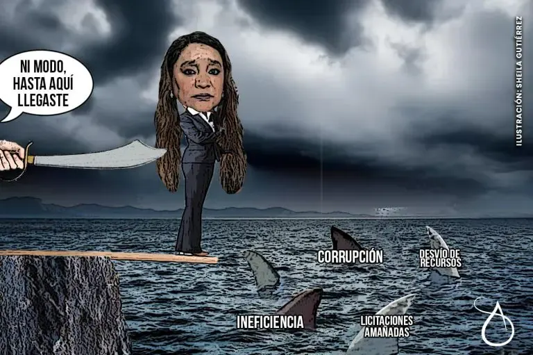 Amanda Gomez Nava Corte Milagros