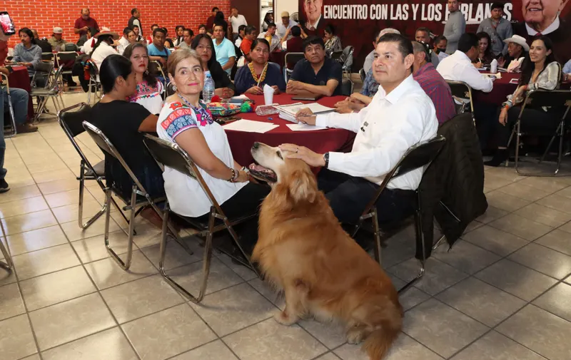 Imagen del artículo