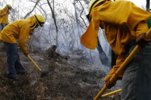 Protección Civil combate incendios en 3 municipios del estado