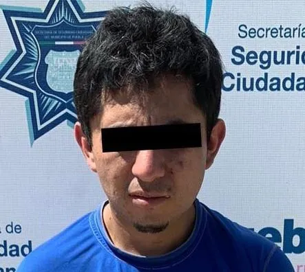 Los pelucas