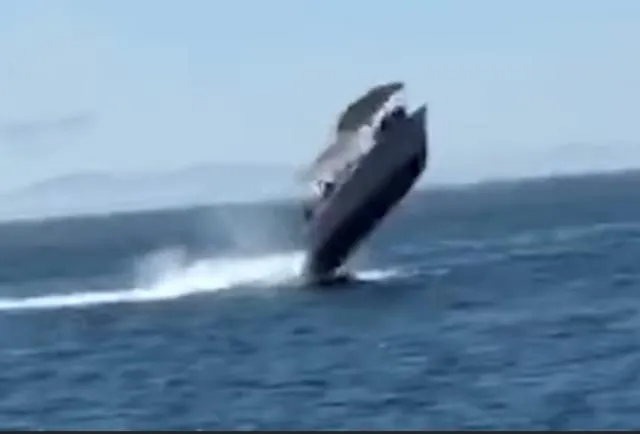 VIDEO Bote choca contra ballena en Baja California Sur; hay seis heridos