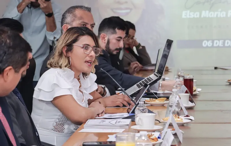 elsa-maria-ruiz-betanzos-comparecencia-congreso-pue