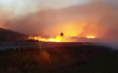 Reportan nuevos incendios en Baja California