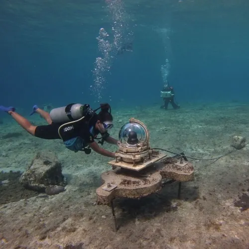 Alumna del Tec impulsa proyecto de siembra de coral en Cozumel