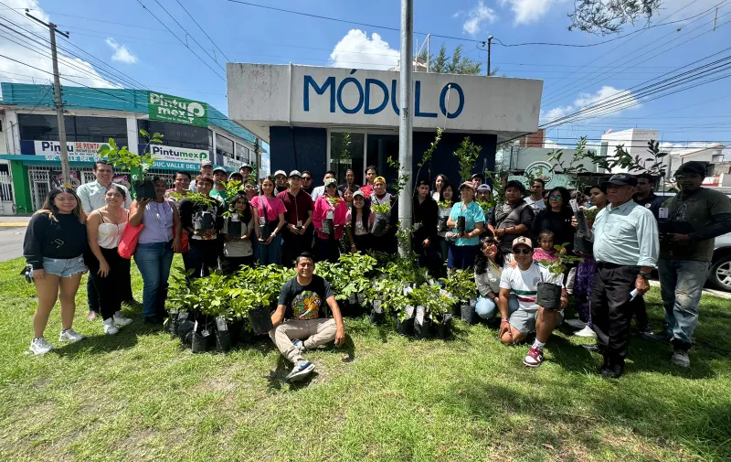 Continúa la reforestación en Puebla con “Sembremos Esperanza"