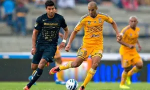 Pumas buscará seguir rugiendo fuerte en casa