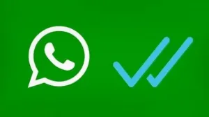 Actualización de WhatsApp incluye palomas de “leído”