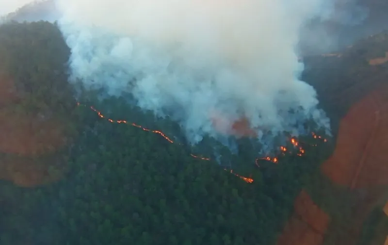 gob-pue-incendio-forestal-vicente-guerrero