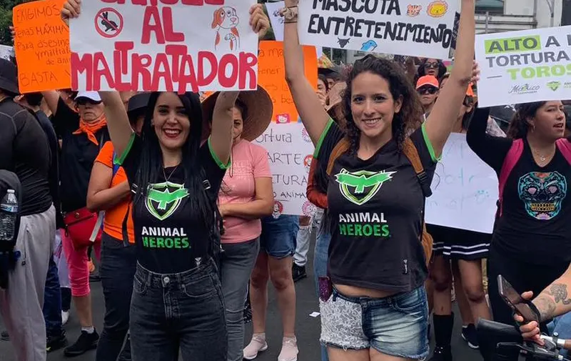 Animal Heroes