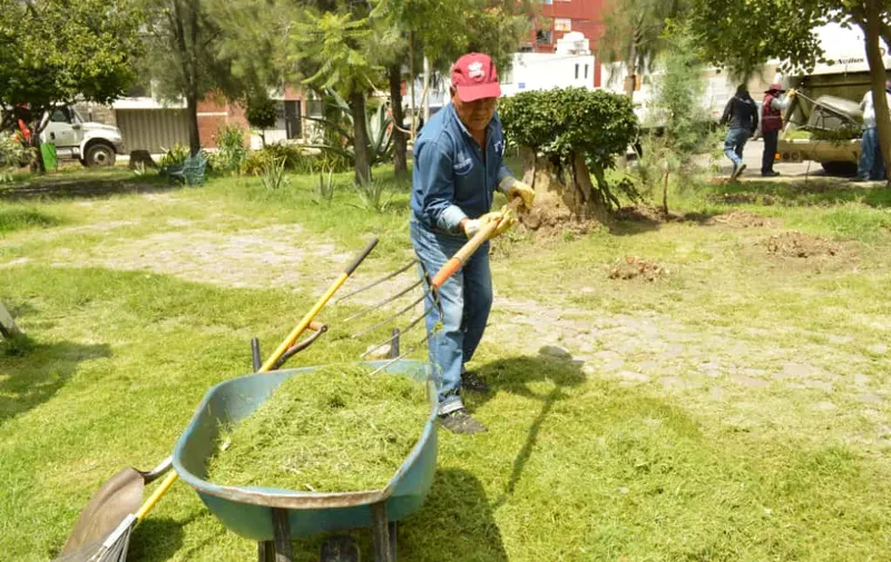 Inspecciona Pepe Chedraui labores de chapeo y rehabilitación en el parque Las Palmas