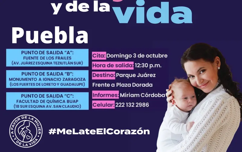 Imagen del artículo