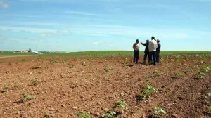 Autoridades de Morelos rescatan a jóvenes poblanos en campo agrícola