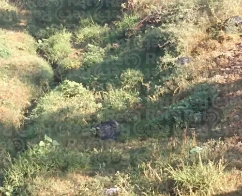 Encuentran desmembrado y en bolsas de plástico el cadáver de una persona en Tehuacán