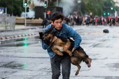 Joven salva a can en protesta chilena