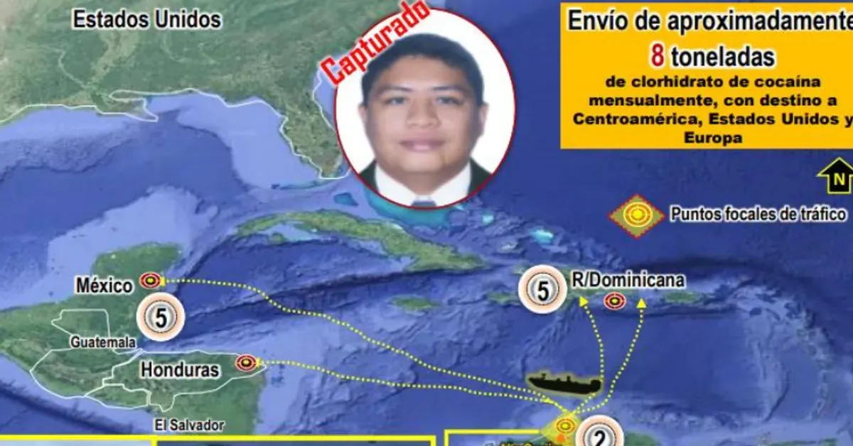 Organización criminal