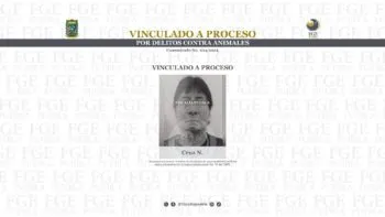 Vinculado a proceso por delitos contra animales