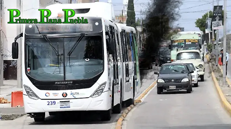 El tortuoso tema del RUTA