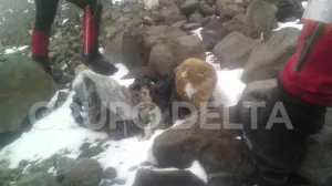 Localizan tercera momia en cara sur del Citlaltépetl