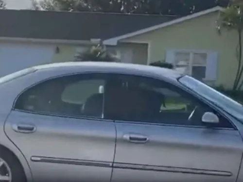 Captan a perro conduciendo sin control un coche en Florida