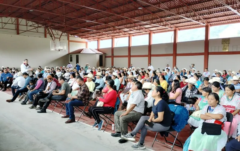Imagen del artículo