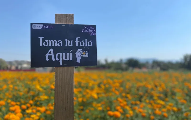 Atlixco día de muertos