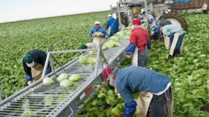 Migrantes poblanos no regresarán en esta temporada por miedo a políticas migratorias