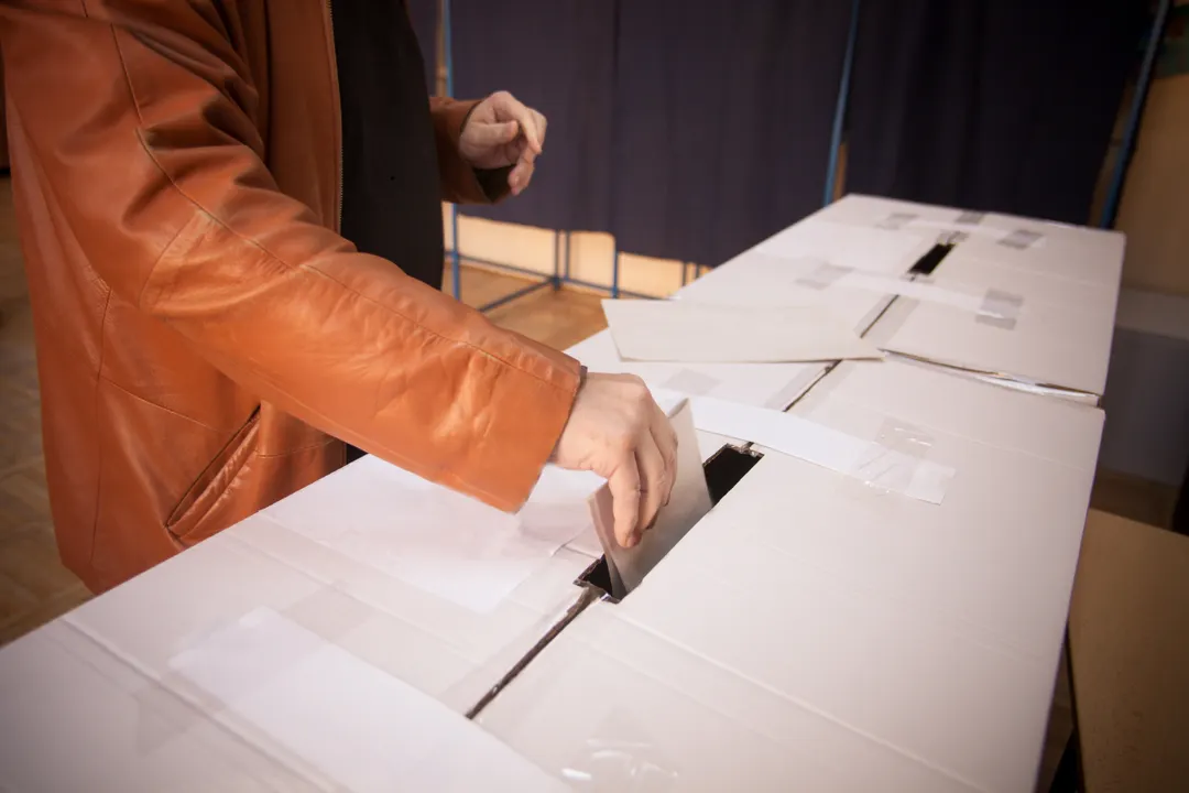 Voto Votacion Urnas