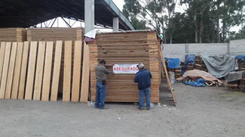 Profepa clausura dos centros de almacenamiento de madera