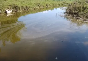 PEMEX contamina río en Venustiano Carranza