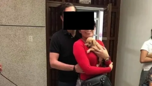 Pareja adopta perros para alimentar a sus serpientes, denuncian en redes