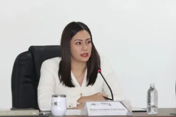 IEE descarta irregularidades en espectaculares donde aparecen García Parra y Laura Artemisa García
