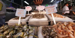 Profeco realiza operativo en zona de mariscos del Centro Histórico