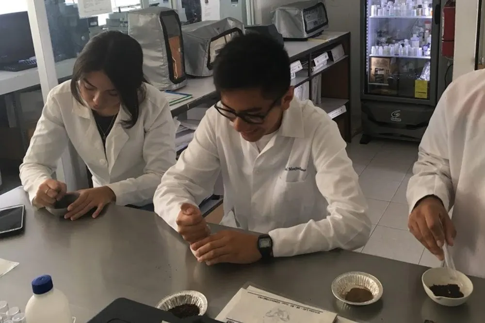 FIQ-BUAP obtiene biopolímero a partir de aloe vera para generar bioplástico