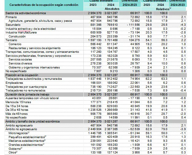 caracteristicas-poblacion-ocupada-4t-24