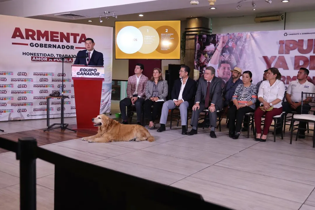 Alejandro Armenta Medio Ambiente Animales