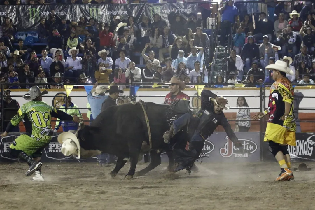Jaripeo