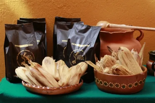 Huitzilan de Serdán tuvo una producción de café en el 2018 de cuatro mil toneladas