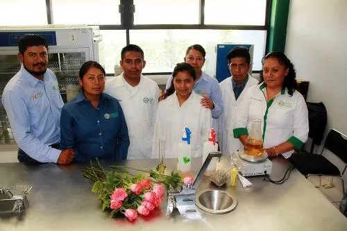 Universitarios del PE de Agricultura UTTECAM crean fungicida y encerador natural para rosas