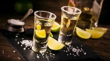 Los suelos de Jalisco otorgan al tequila características únicas: UAG