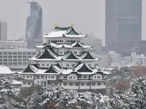 Fuerte nevada en Japón deja al menos 10 muertos