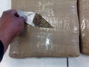 Capturan a sujeto con 25 kilogramos de marihuana